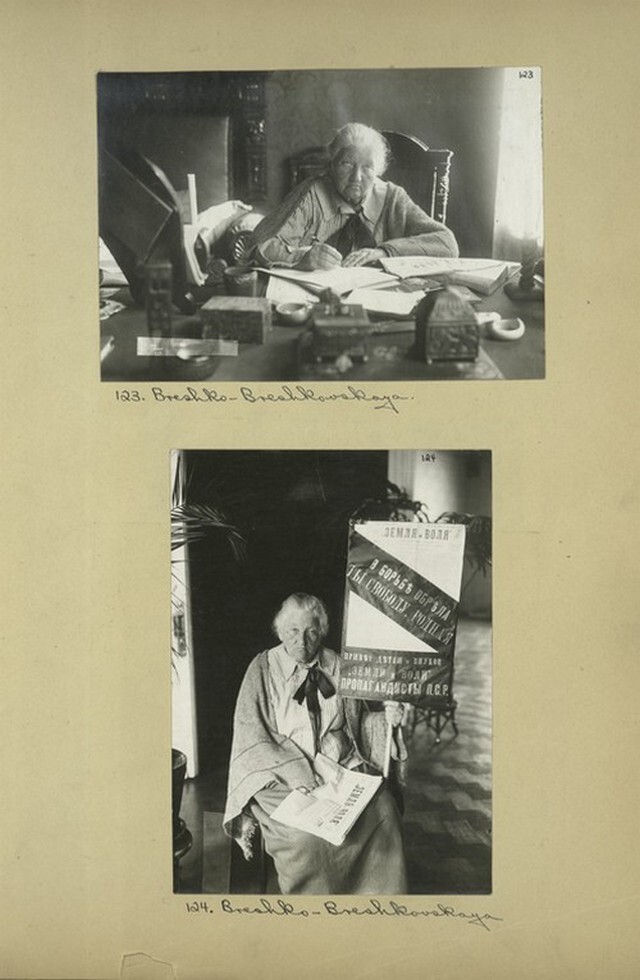 Екатерина Константиновна Брешко-Брешковская.