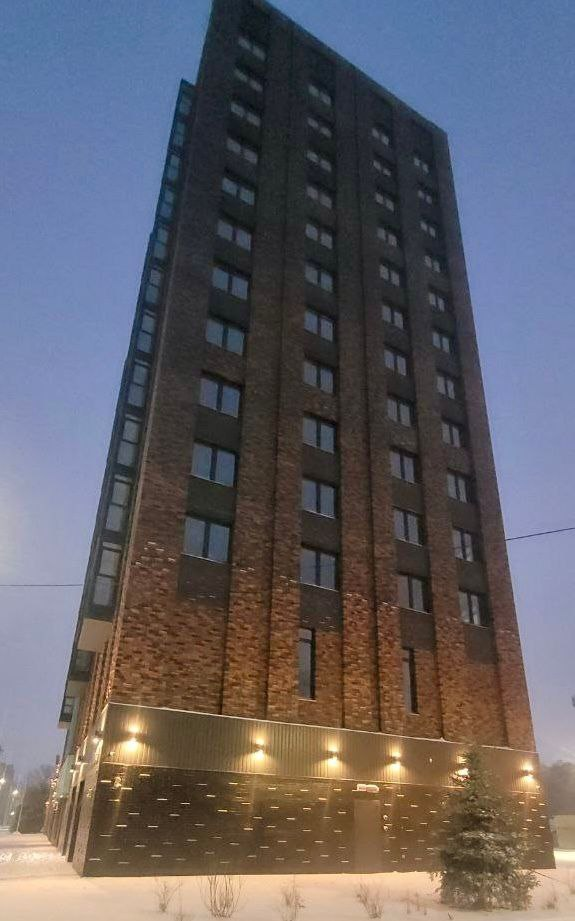 В российском городе решили усовершенствовать «дом с гениталиями»