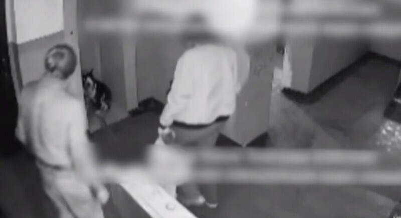 Мужчина несколько раз ударил щенка и теперь он предстанет перед судом