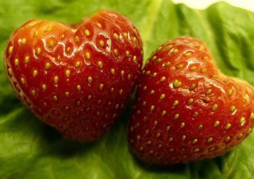 13. Сердечная клубника