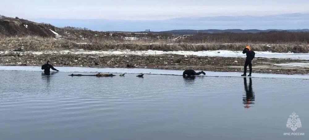 Мальчик, которого двое суток искали на Сахалине, всё это время прятался дома под диваном