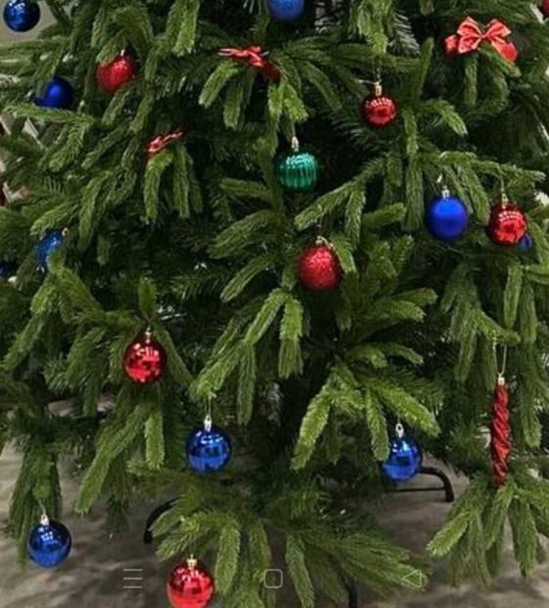 Ёлка против шариата: как один сосед боролся с главным символом Нового года в московском подъезде