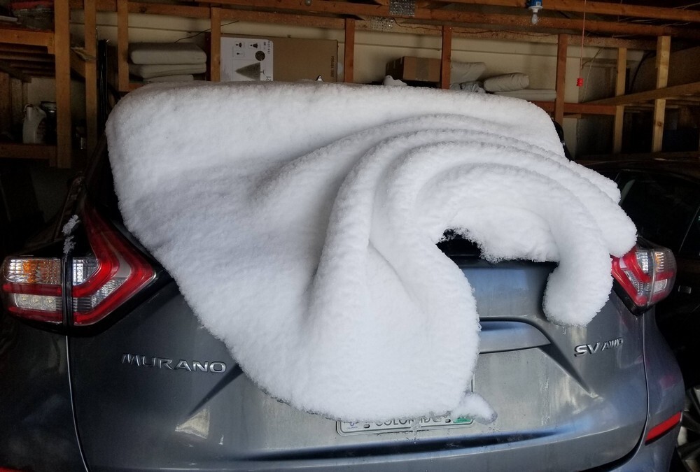 8. Заботливая природа