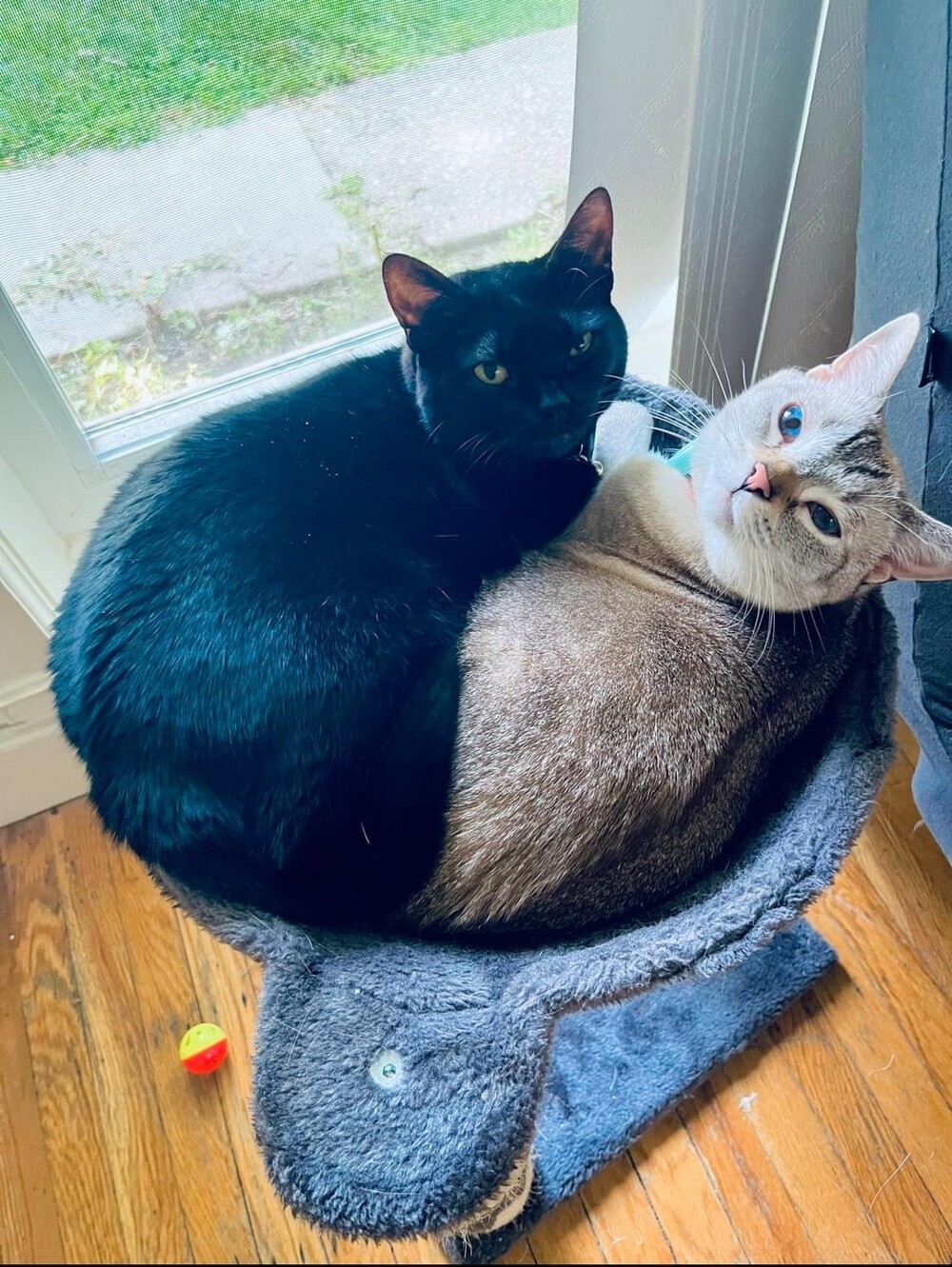 4. Двойная польза