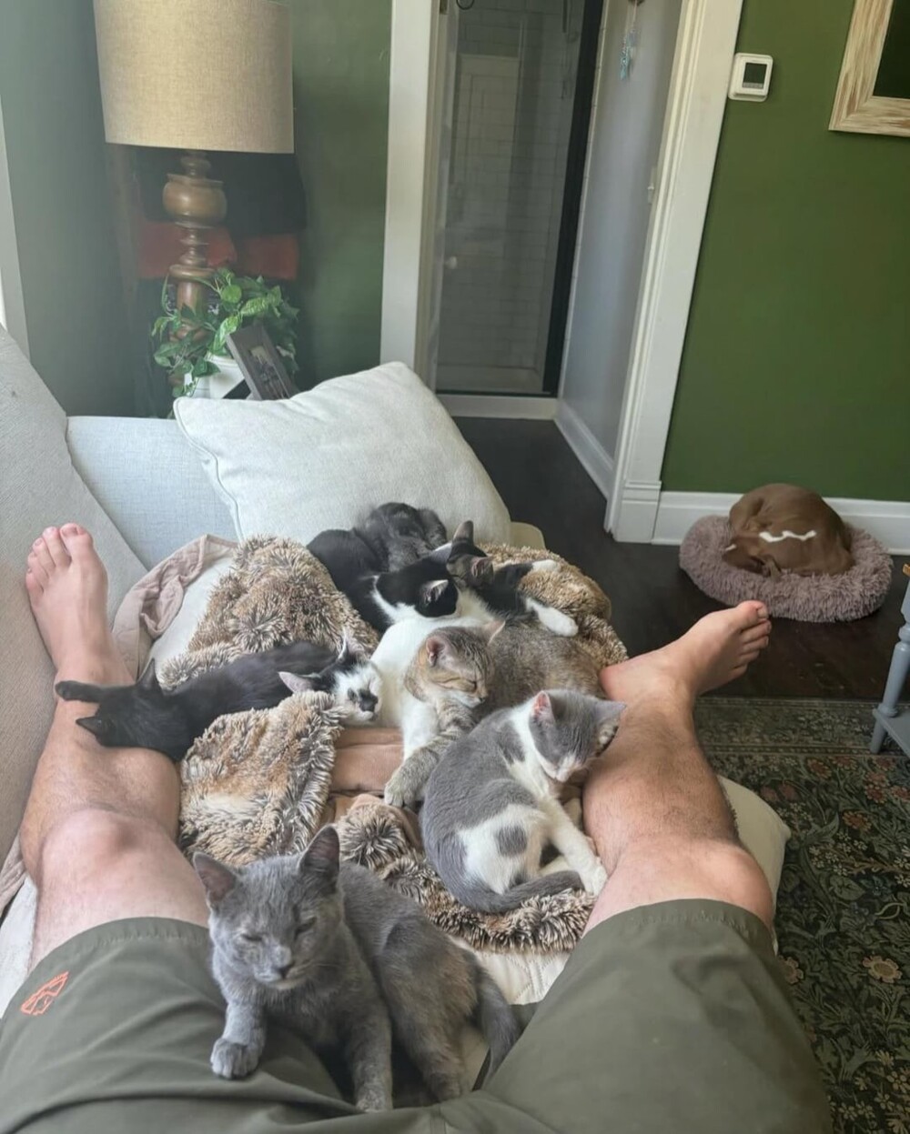 1. У меня уже готов для тебя букет котов