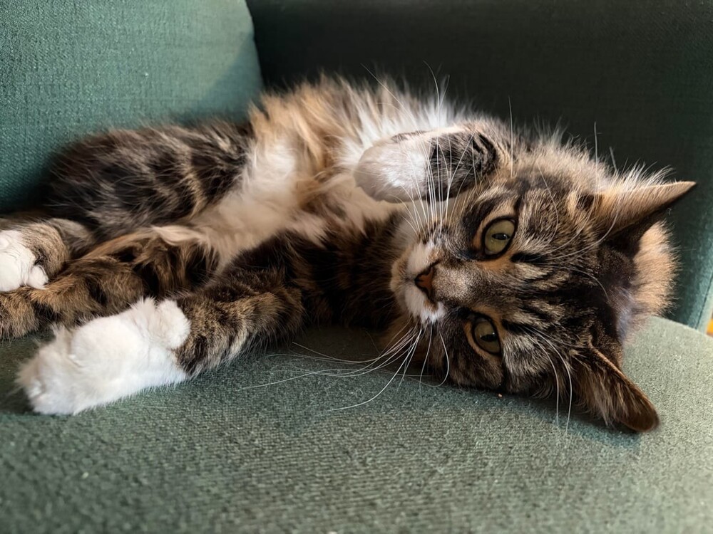 16. Обучаю медитации