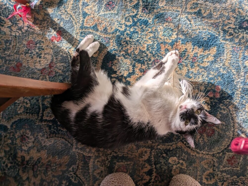 10. Эта штука тут явно лишняя, нужно её убрать