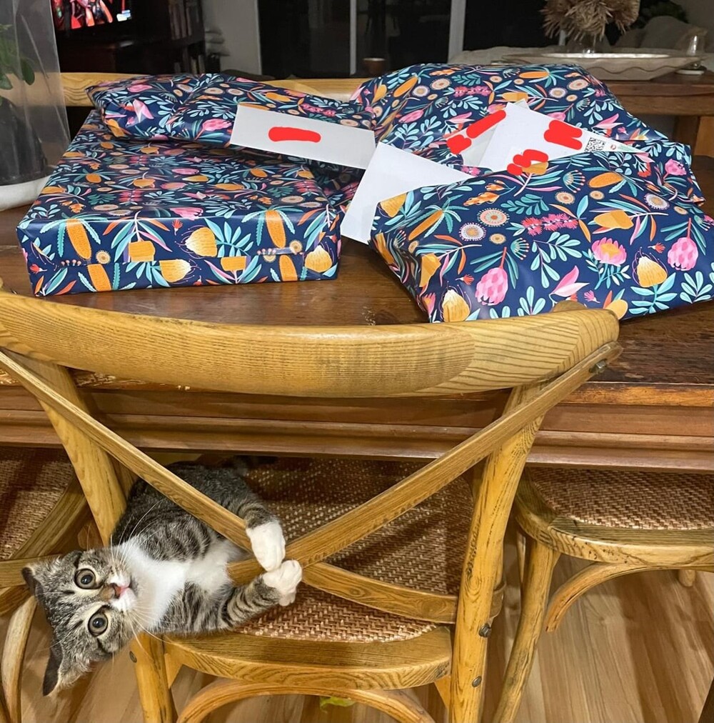 15. Там же есть что-то и для меня?