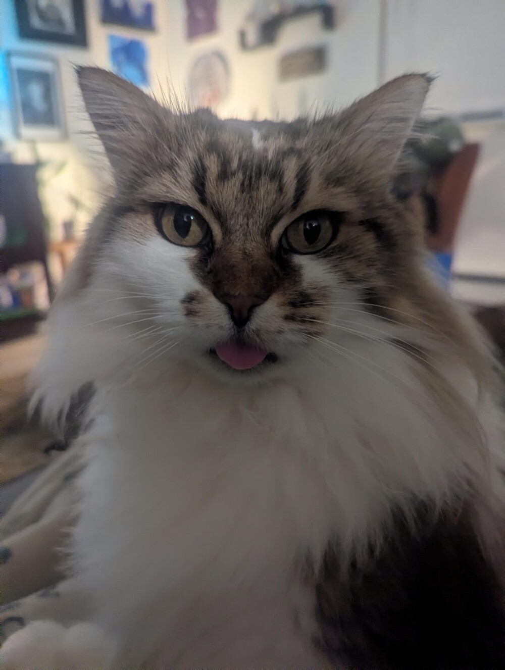 18. Моё вам бе-бе-бе