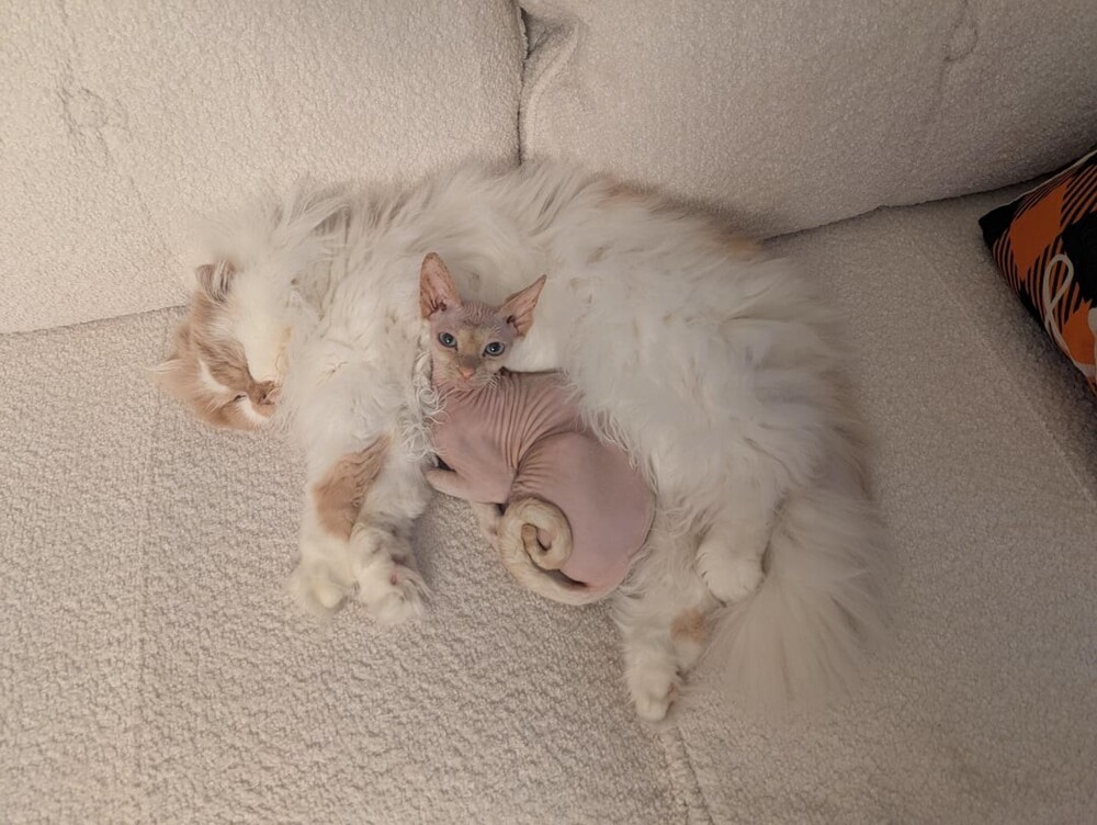 11. Мы умеем создавать гармонию