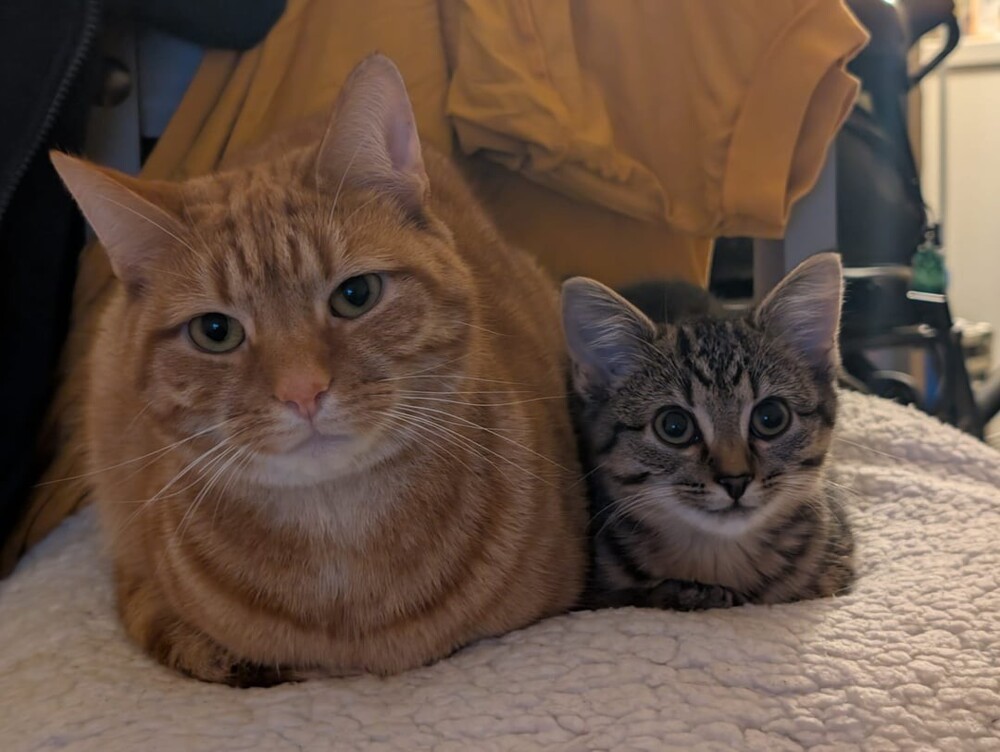 13. Вы можете себе представить что-то более душевное?