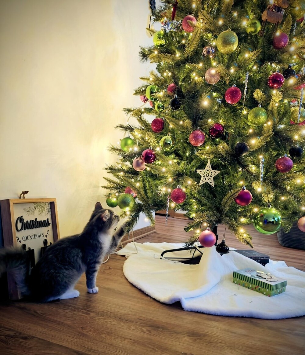 14. Надо внести немного хаоса в эту скучную упорядоченность