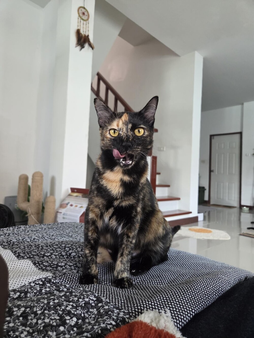 9. Яркий акцент дома