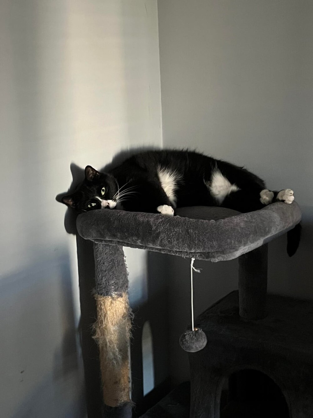 5. Мастер уютного созерцания