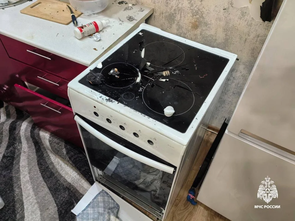 В Новосибирске собака устроила взрыв в квартире