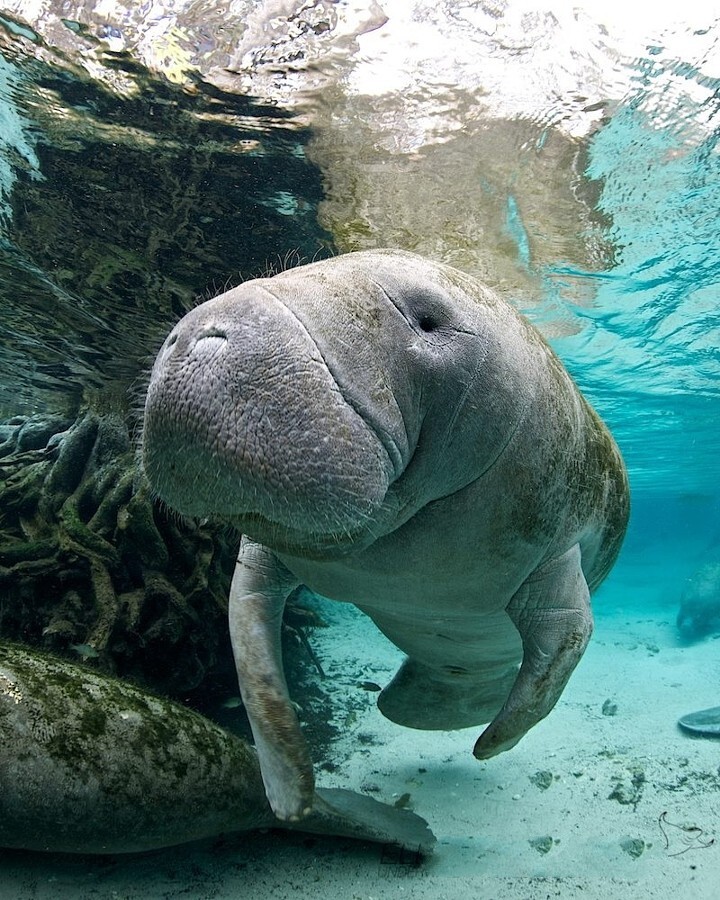 Уязвимые. Автор фото-Эллен Куилаэртс