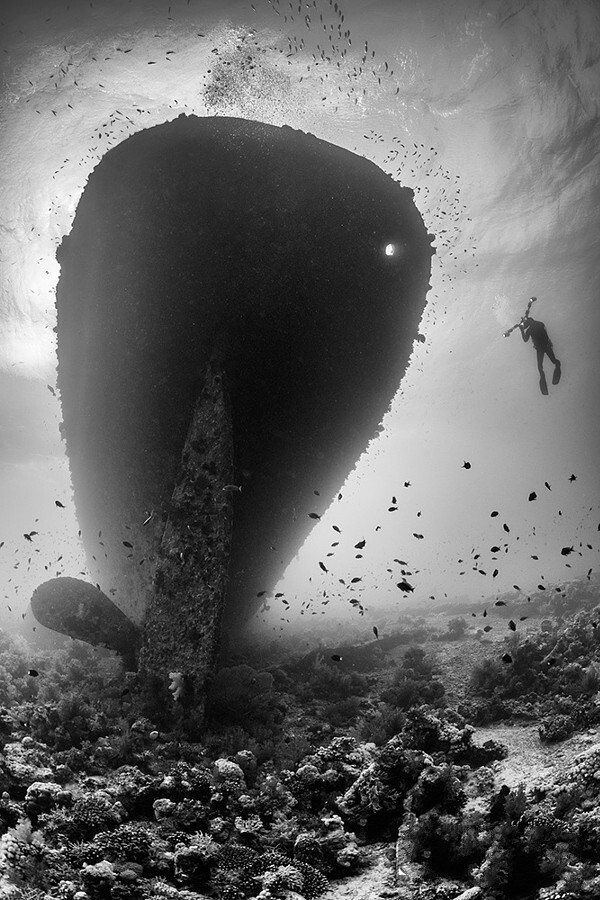 Автор фото-Кристиан Шламанн