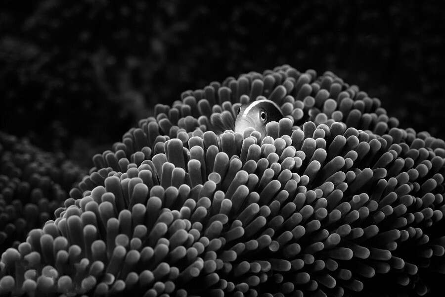 Секунда в статике. Автор фото-Джим Паттерсон