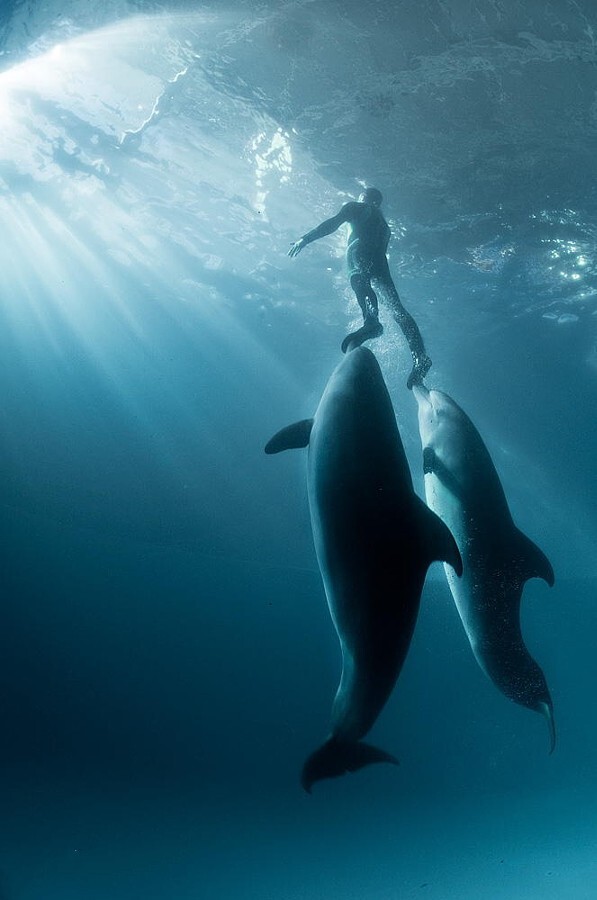 Стремление к свету. Автор фото-Виктор Лягушкин