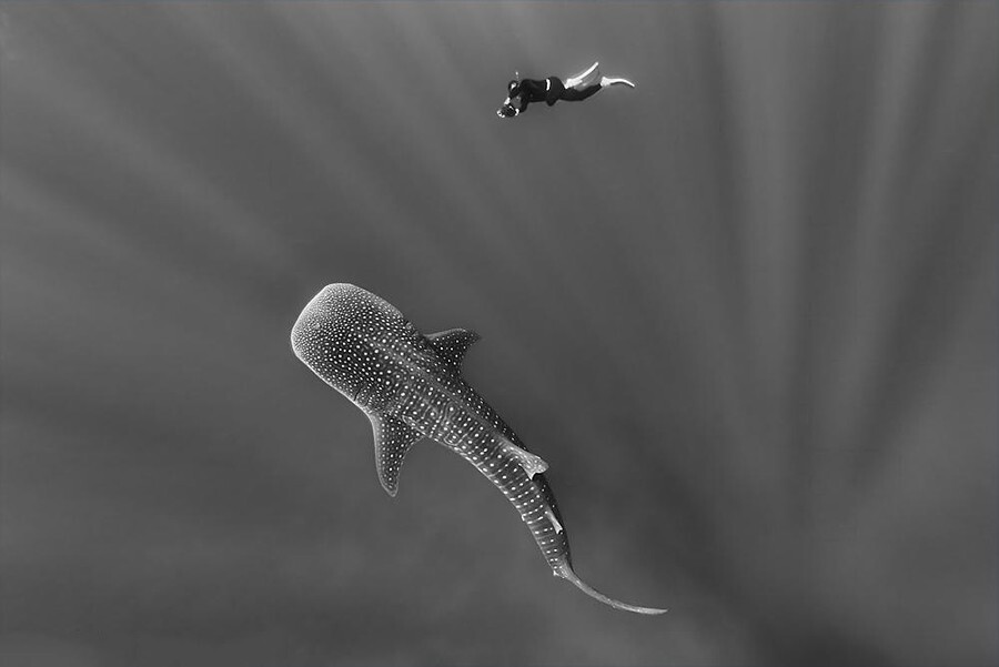 Контакт. Автор фото-Кристиан Шламанн