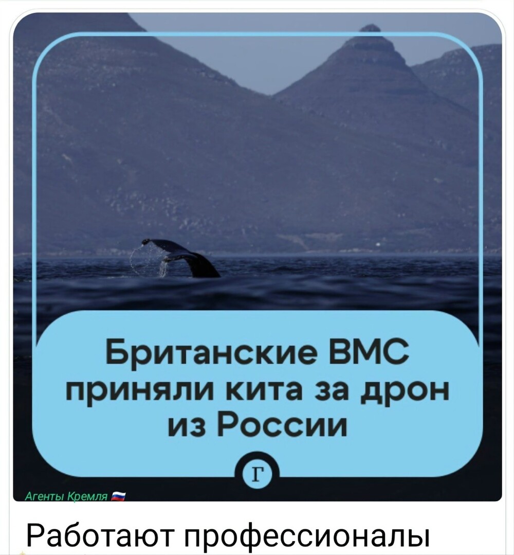 Это ухилянт через Тису в Ла-Манш заплыл