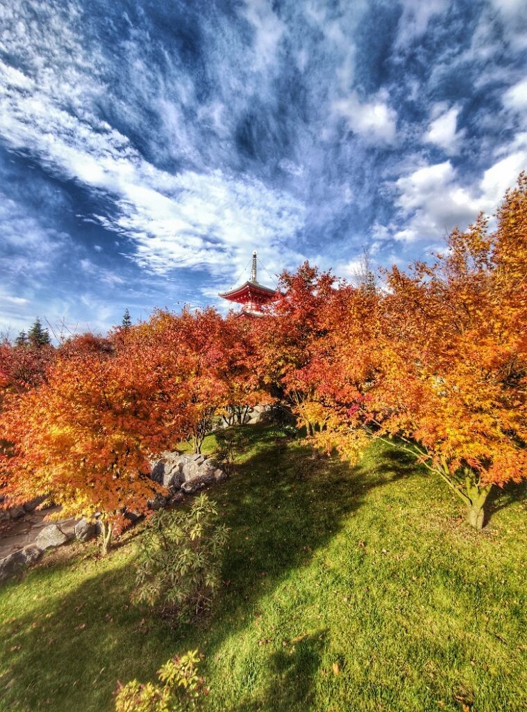 Добро пожаловать, или Посторонним вход разрешен