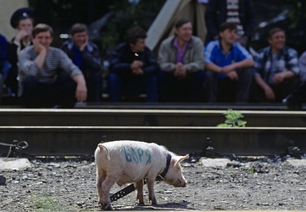 Забастовка шахтеров, город Шахты 1998 год
