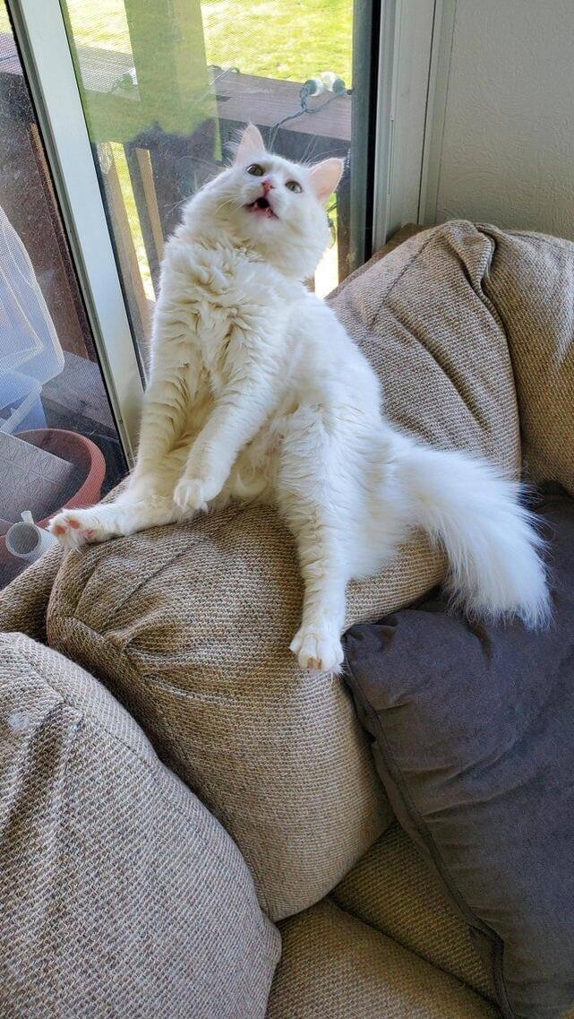 Когда чихнул и преисполнился в познании