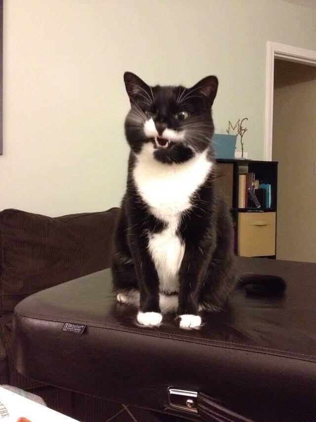 Пойман во время чихания