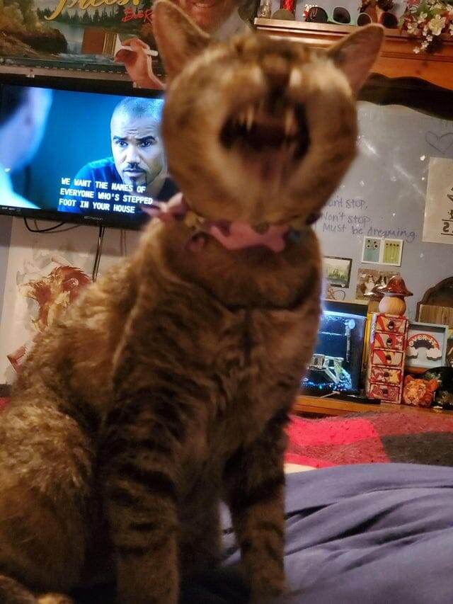 Зачем смотреть на экран, когда тут такое