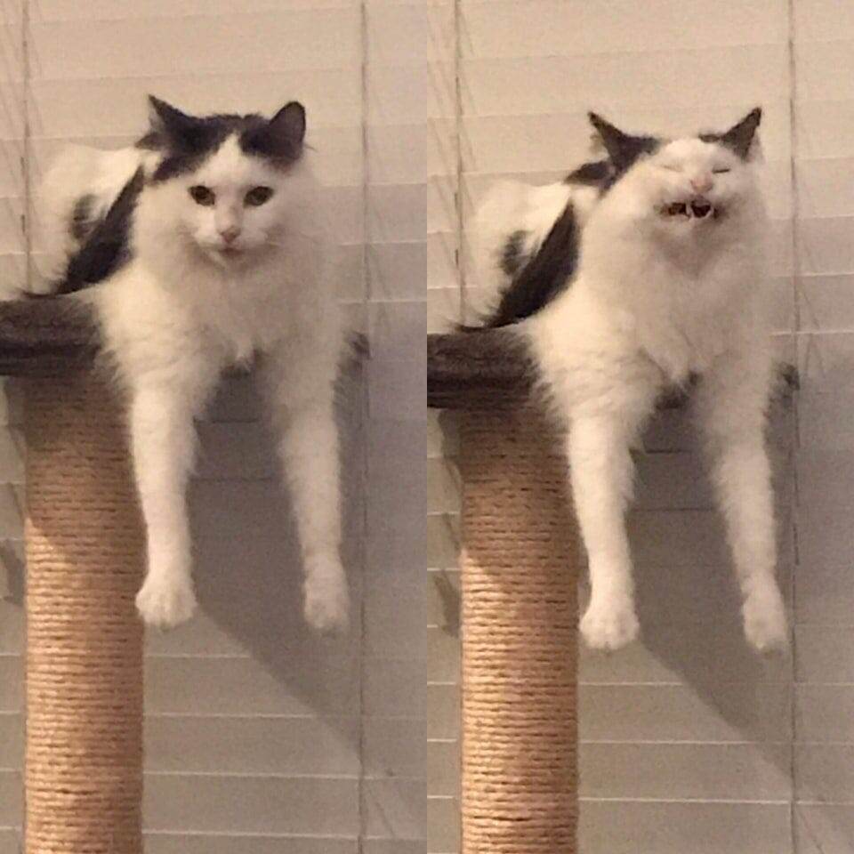 Разница очевидна