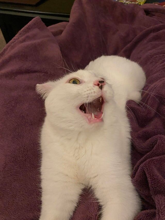 У всех это так индивидуально!