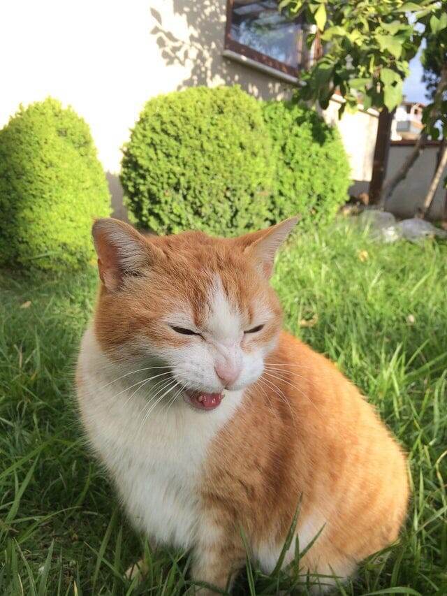 Кажется, такими снимками можно шантажировать