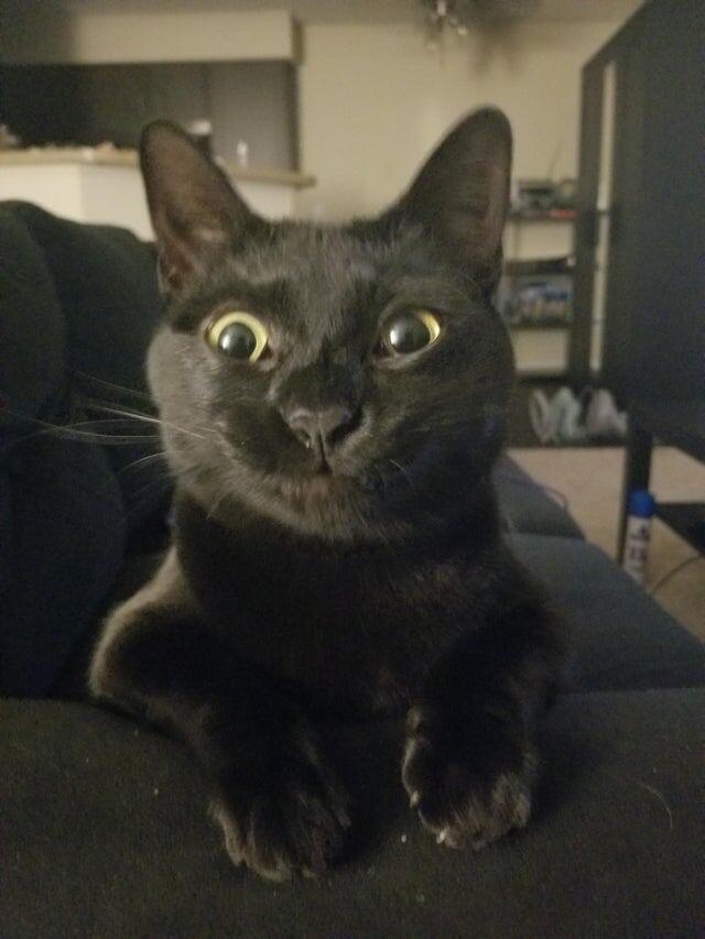 А это сразу после чиха