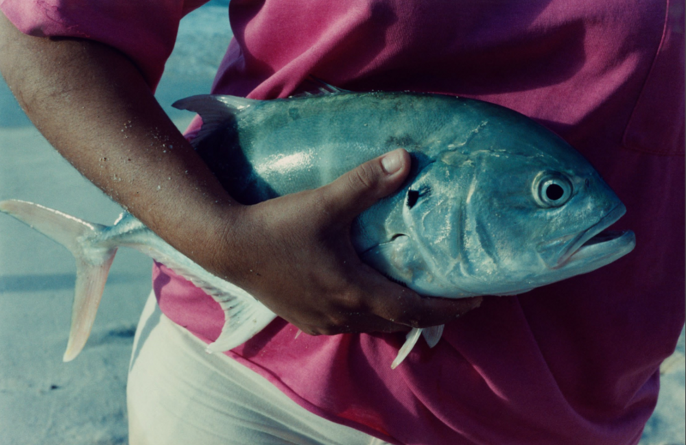 Давиде Сорренти. Успеть до смерти...2