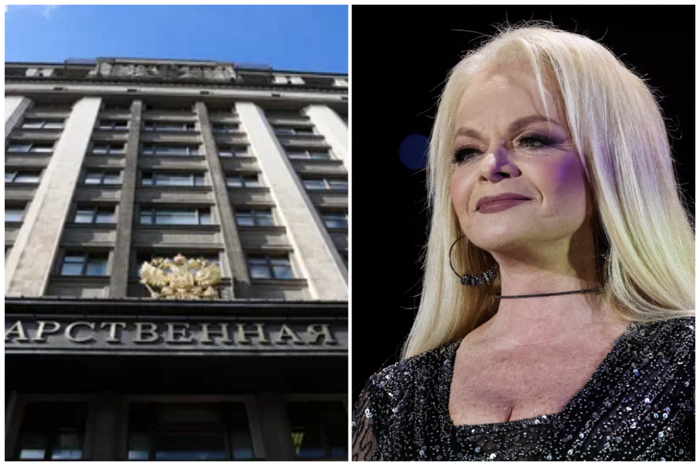 В Госдуме призвали дать ход новому делу о квартире певицы Долиной