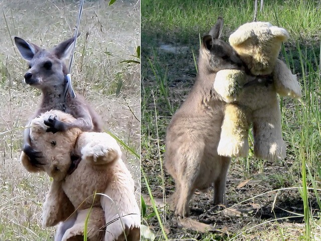 ФотоВсячина