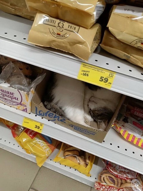 ФотоВсячина