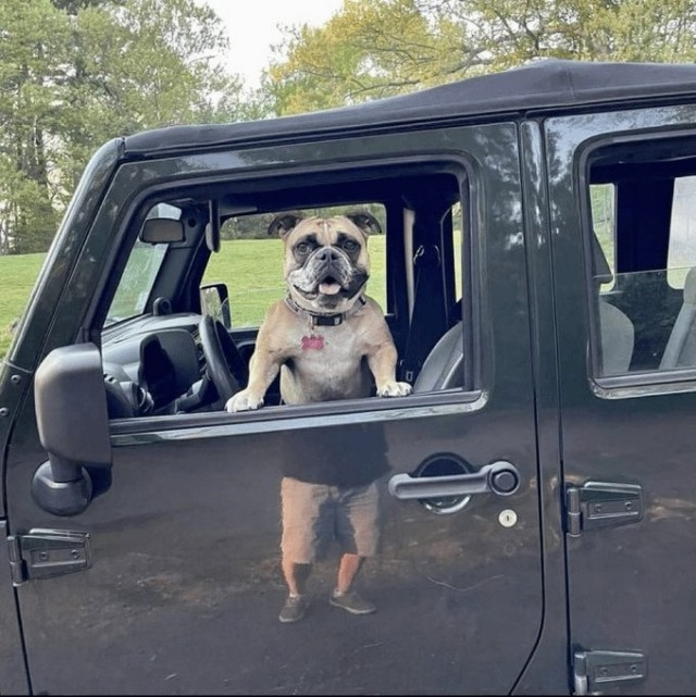 Показалось: 25+ смешных фото, на которые стоит взглянуть дважды, чтобы понять, а что тут происходит?