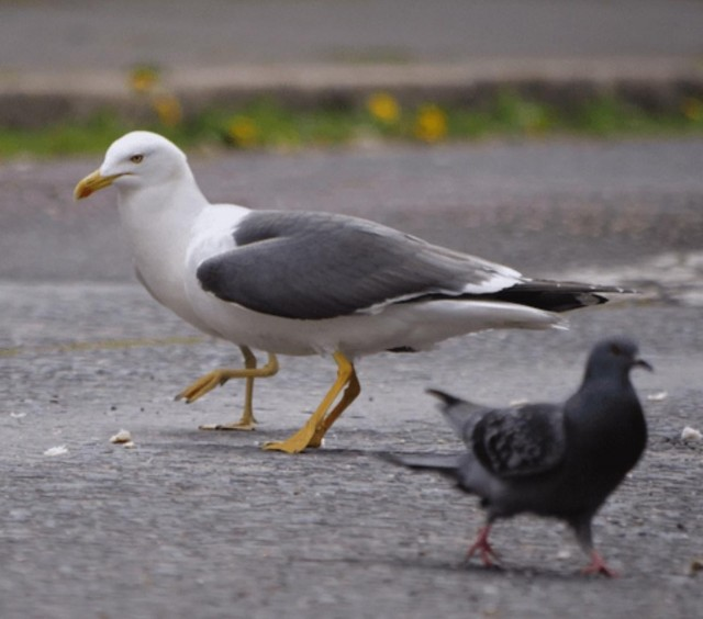 Показалось: 25+ смешных фото, на которые стоит взглянуть дважды, чтобы понять, а что тут происходит?