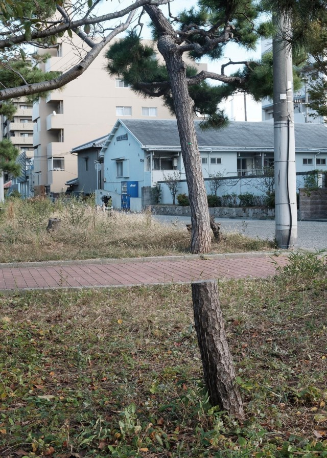 Показалось: 25+ смешных фото, на которые стоит взглянуть дважды, чтобы понять, а что тут происходит?