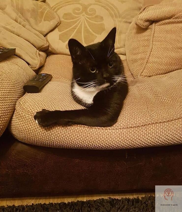 Показалось: 25+ смешных фото, на которые стоит взглянуть дважды, чтобы понять, а что тут происходит?