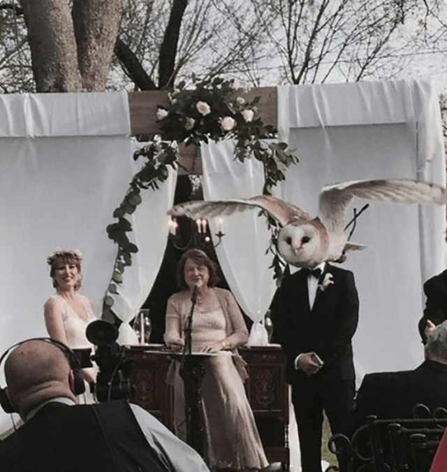 Показалось: 25+ смешных фото, на которые стоит взглянуть дважды, чтобы понять, а что тут происходит?