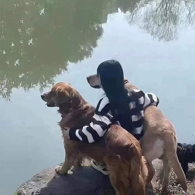 Показалось: 25+ смешных фото, на которые стоит взглянуть дважды, чтобы понять, а что тут происходит?