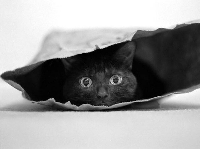 Забавные...1