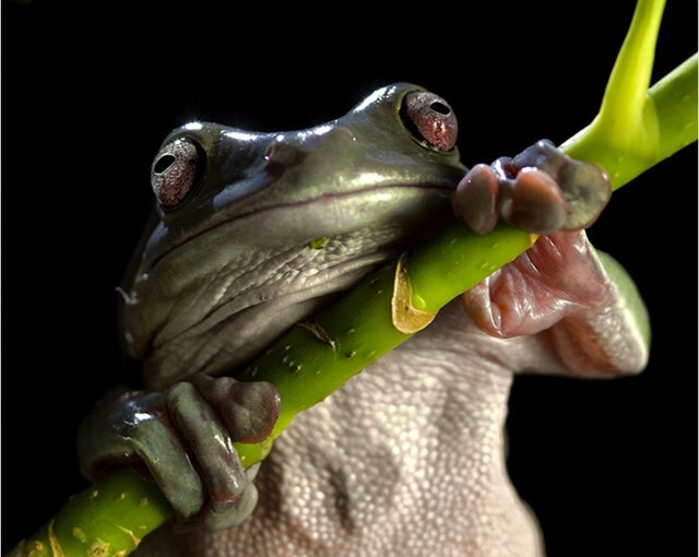 Забавные...1