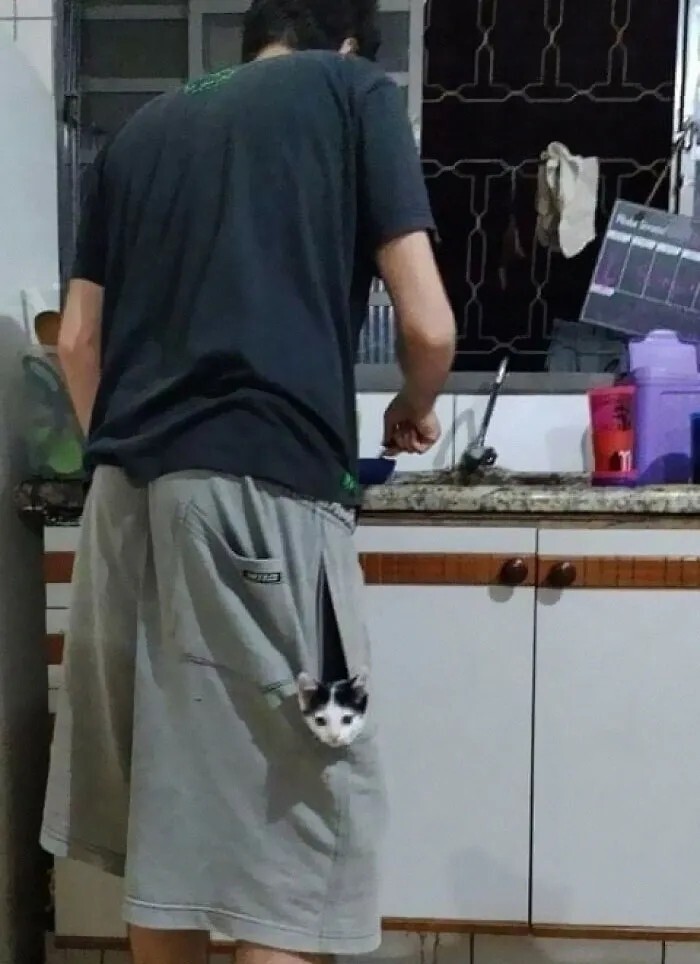 Забавные...2