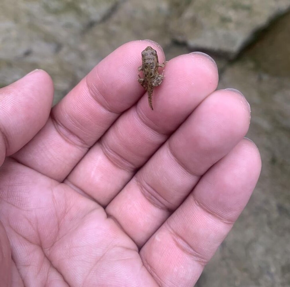 5. Завораживающее зрелище перехода от одной стадии к другой