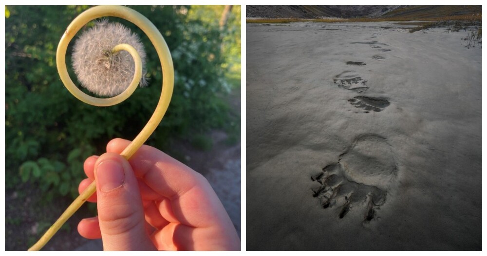 20 невероятных находок, которые стали результатом чистой случайности