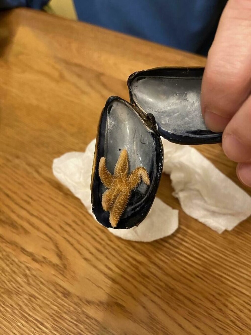 11. Звезда нашла подходящее укрытие